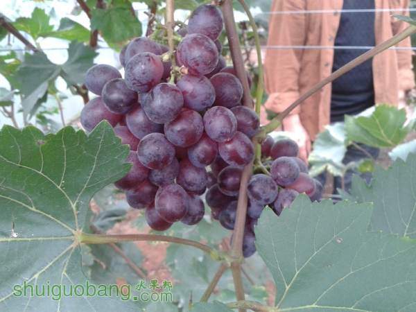20140926_093045.jpg