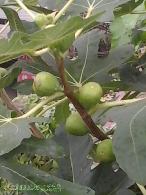 20140705_162817.jpg