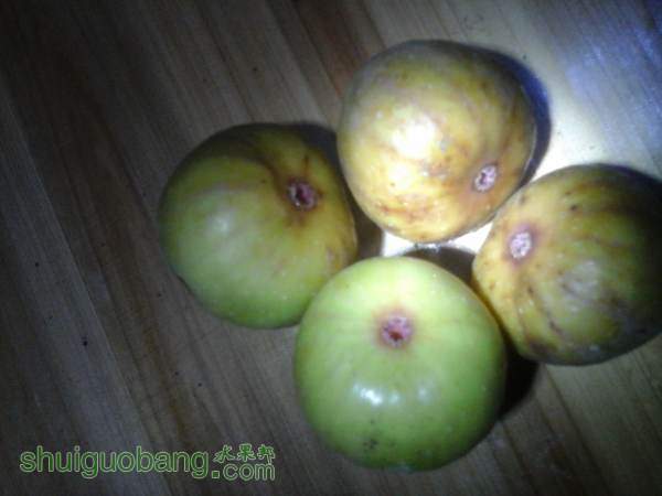 20140914_184514.jpg