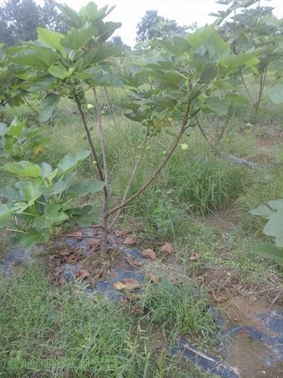 20140924_133258.jpg
