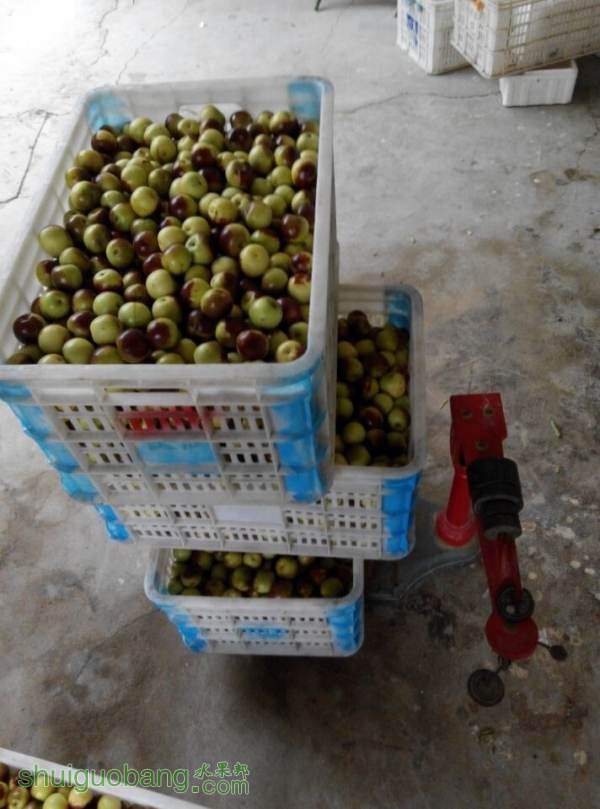 QQͼƬ20140927171327.jpg