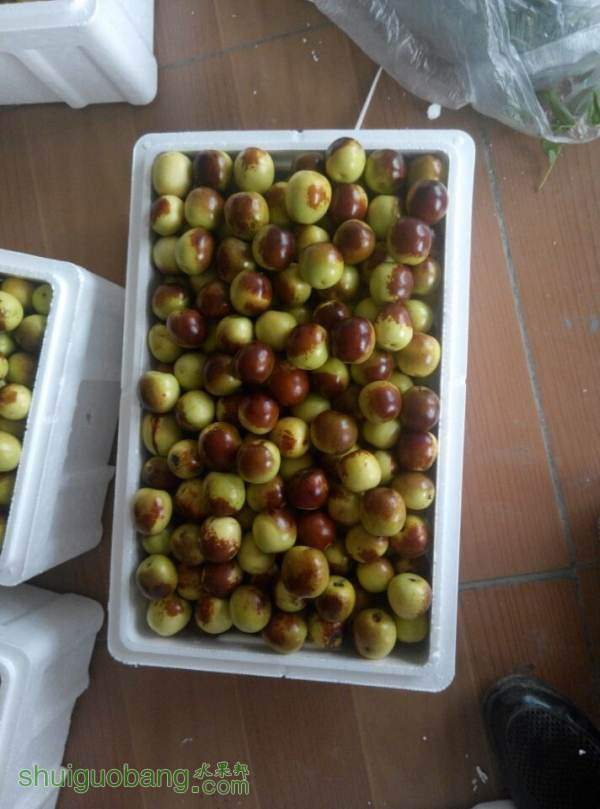 QQͼƬ20140927171351.jpg
