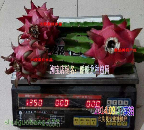 01.jpg