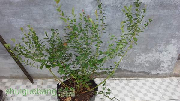 20140912_122155.jpg