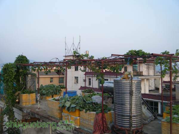 DSCF2312_С.JPG