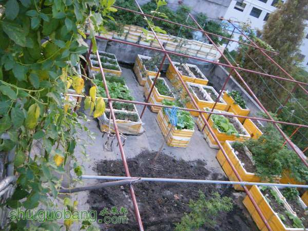 DSCF2320_С.JPG