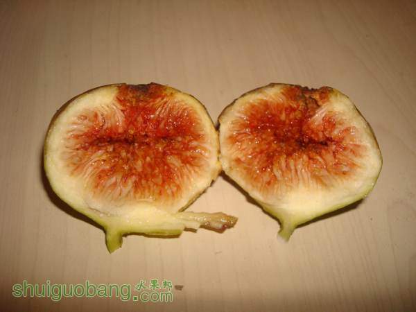 �ھ���2014-08-13_0002.jpg