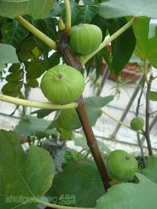 �ھ���2014-08-13_0006.jpg