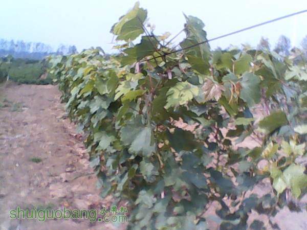 ����20140819 (12).jpg