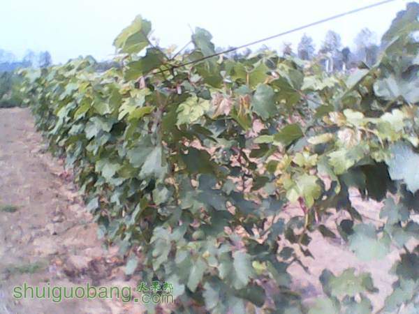 ����20140819 (11).jpg