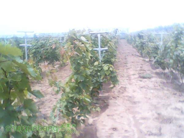 ����201408155 (3).jpg