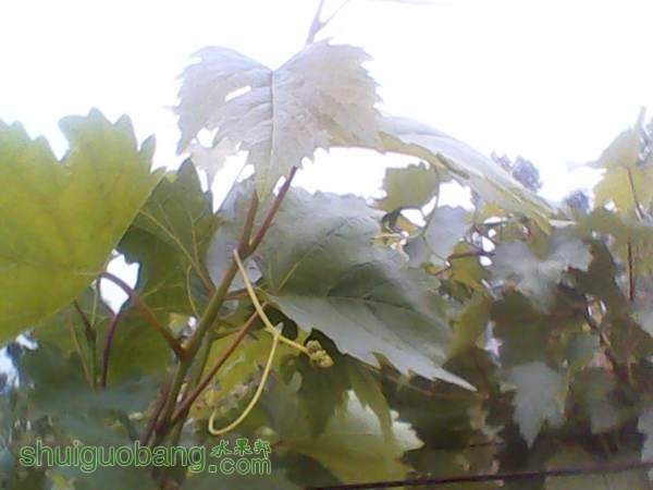 ����201408155 (6).jpg