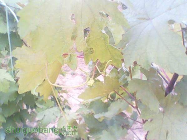 ����201408155 (5).jpg