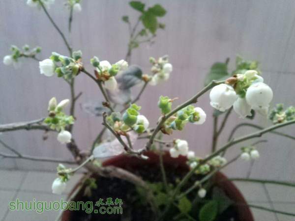 QQͼƬ20140304101200.jpg