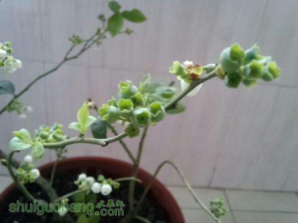 QQͼƬ20140304101156.jpg