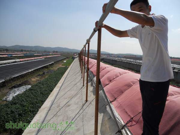 DSCN0372.jpg