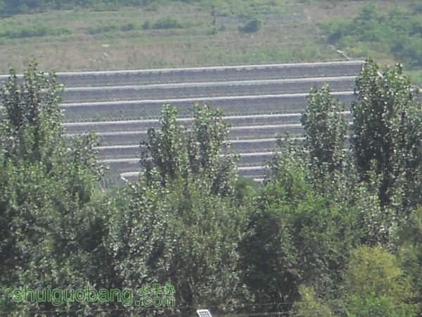 DSCN0378.jpg