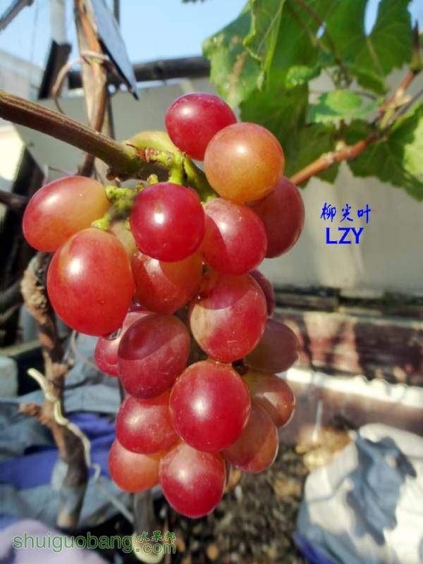 ֮07-25B.JPG
