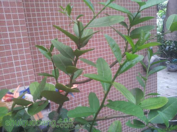 20140930_172817.jpg