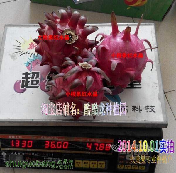 QQͼƬ20141001203639.jpg