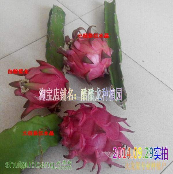 QQͼƬ20141001203218.jpg