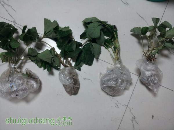 QQͼƬ20141001222710.jpg
