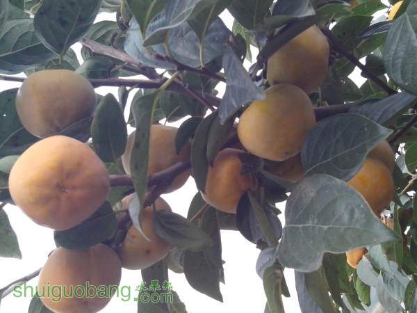 IMG_20141001_153136.jpg