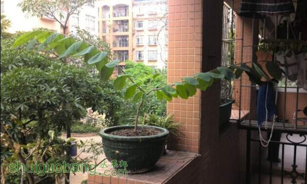 QQͼƬ20141002140056.jpg