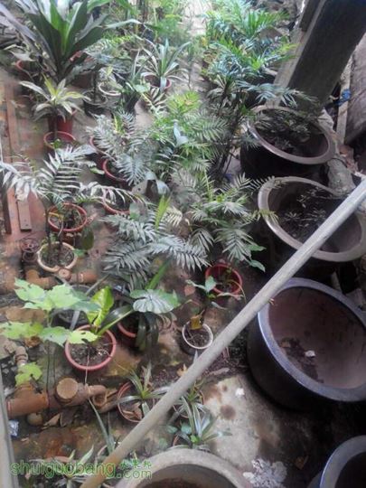 QQͼƬ20141002195510.jpg