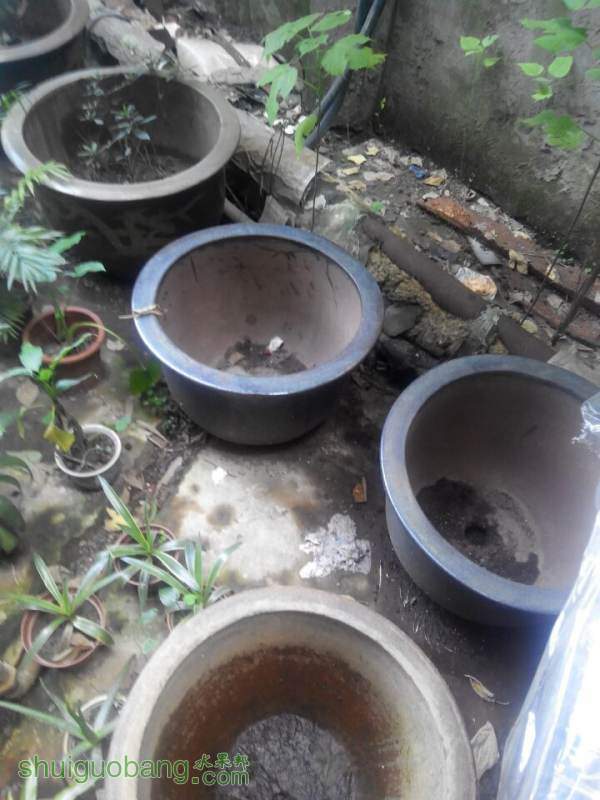 QQͼƬ20141002195518.jpg