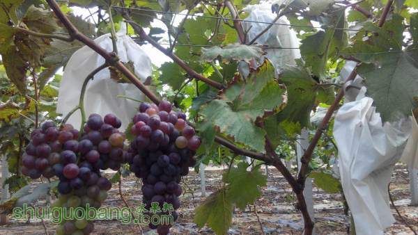 С QQͼƬ20140930124519.jpg