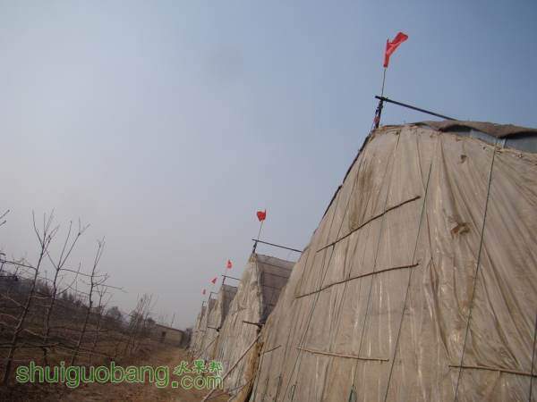 DSC09863_.jpg