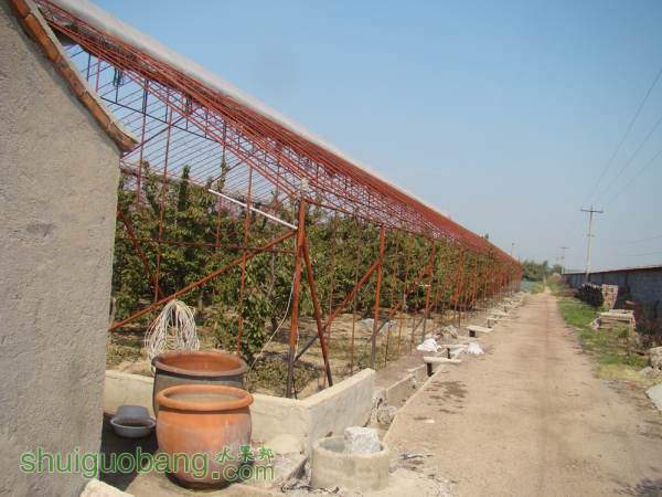 DSC07260_.jpg