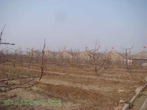 DSC09859_.jpg