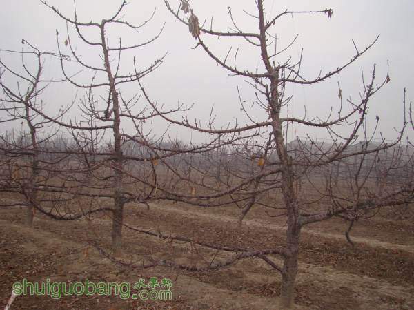 DSC09880_.jpg