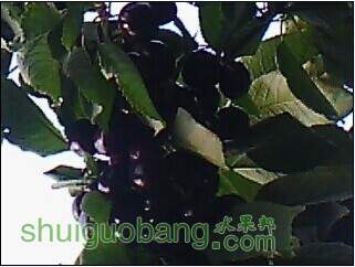 QQͼƬ20141005202315.jpg