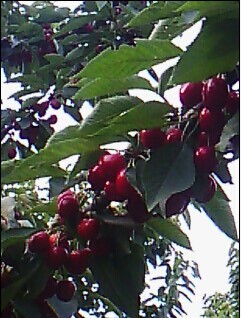 QQͼƬ20141005202338.jpg