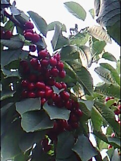 QQͼƬ20141005202354.jpg