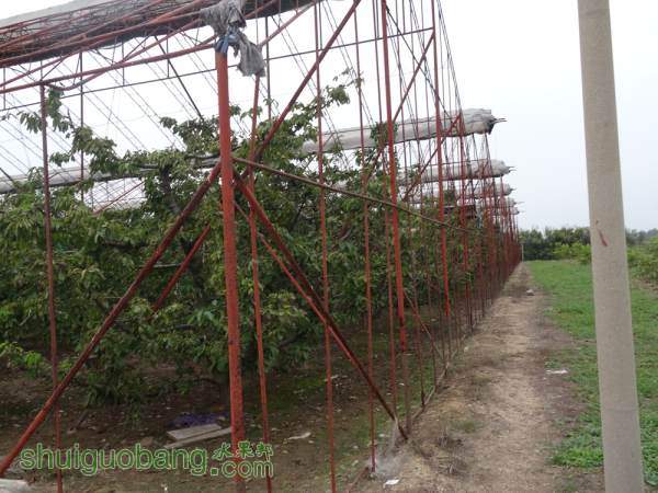 DSC00645_.jpg