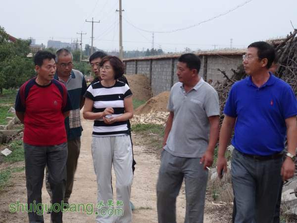 DSC00727_.jpg