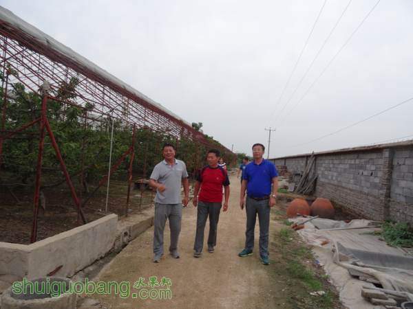 DSC00660_.jpg