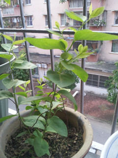 20140613_183631_.jpg