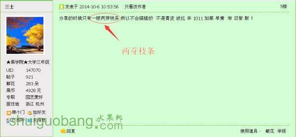 qq2.jpg