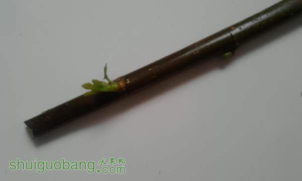 2014922071413.jpg