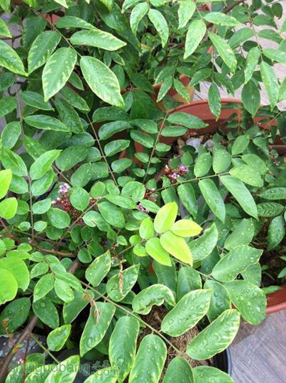 2014-10-02 085005.jpg