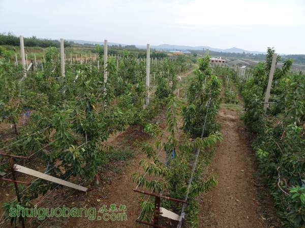 DSC00880_.jpg