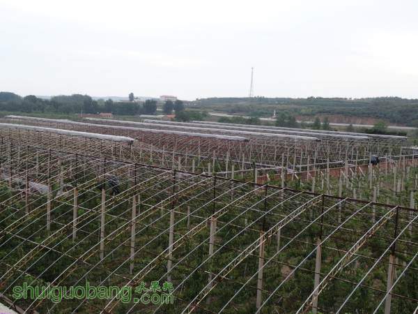 DSC00873_.jpg