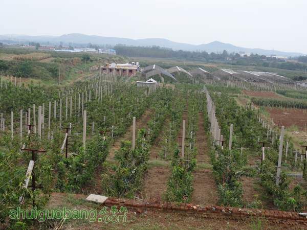 DSC00882_.jpg