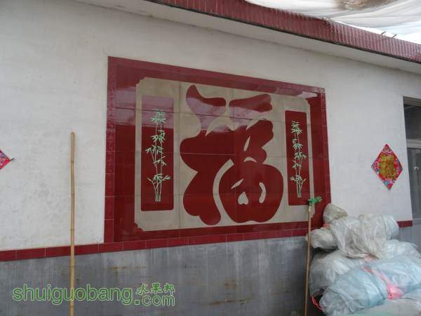 DSC00892_.jpg
