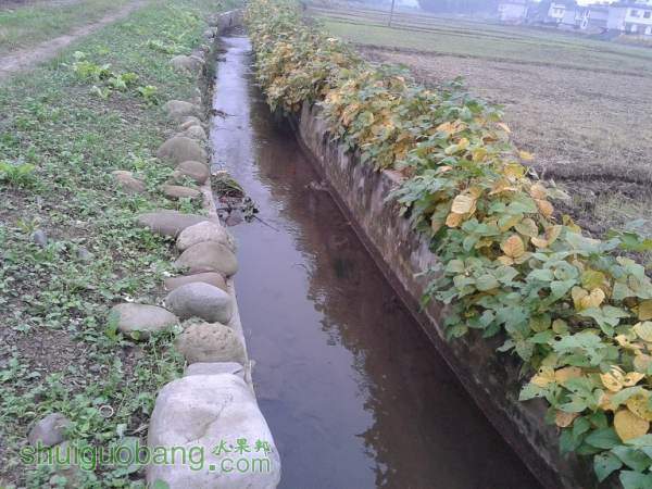 20141009_170151.jpg